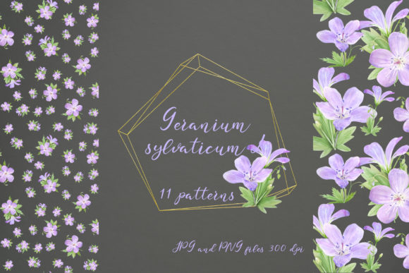 11 Seamless Patterns with Geranium