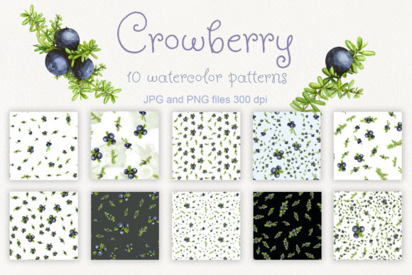 Set of 10 Watercolor Crowberry Patterns